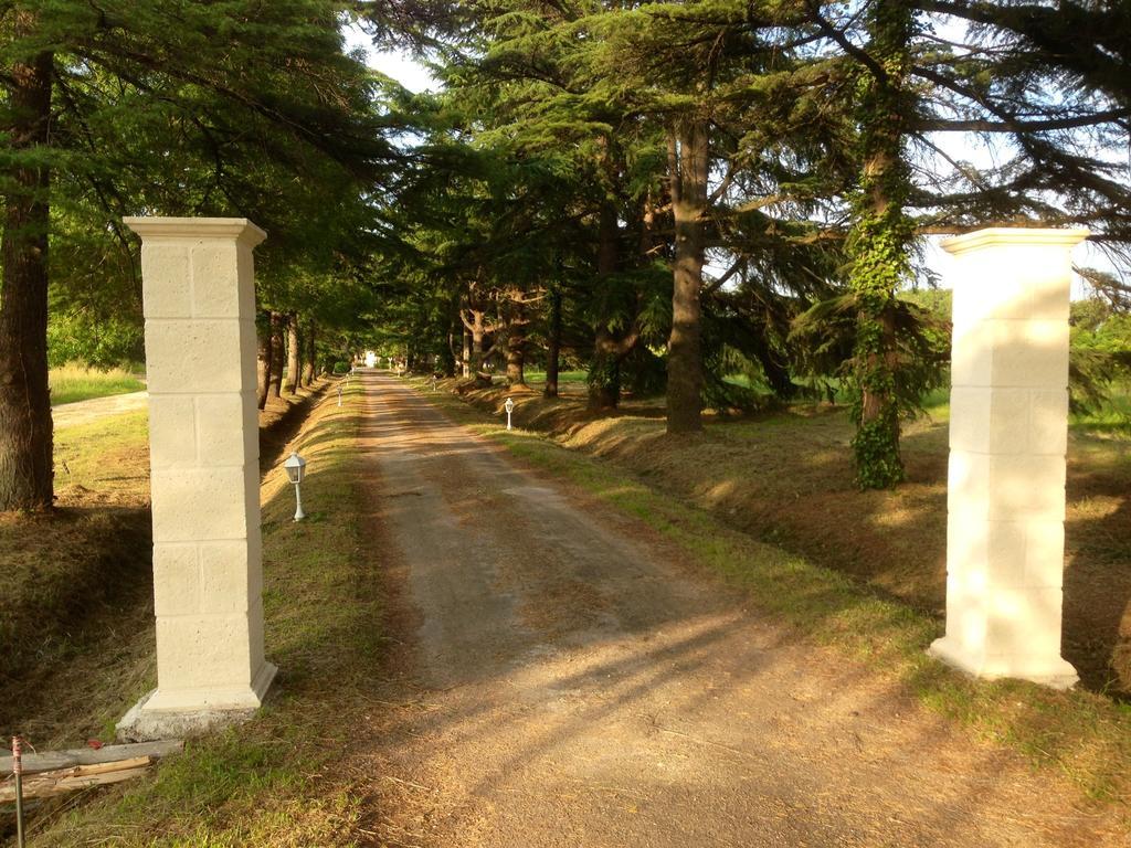 Les Rives Du Plantie Hotel Le Temple-sur-Lot Buitenkant foto